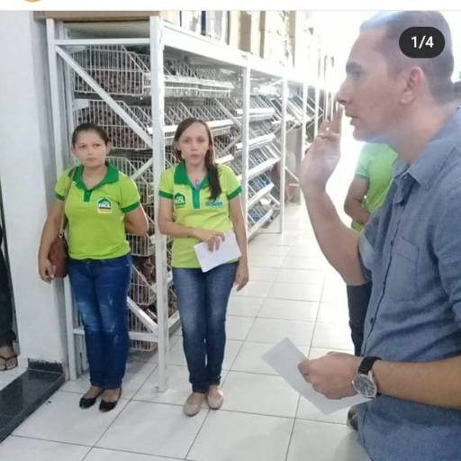 Treinamentos Personalizados para Aumentar o Desempenho de sua Equipe por Inovar Consultoria E Projetos Ltda