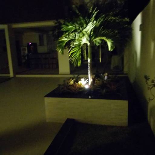 Projetos de Iluminação por Chão Verde