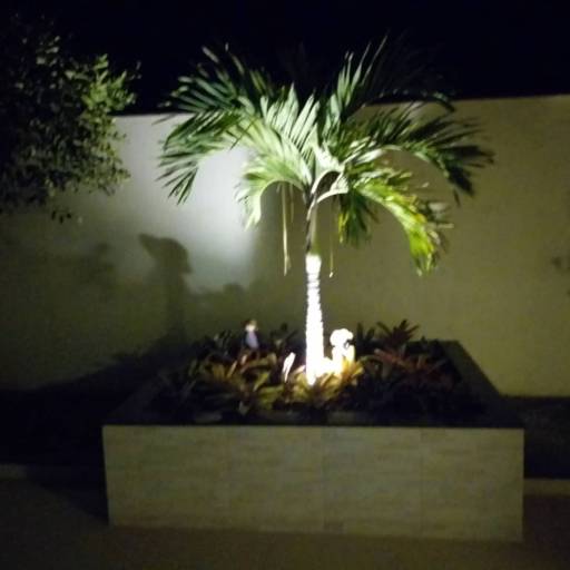 Projetos de Iluminação por Chão Verde