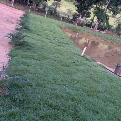 Plantio de Grama por Chão Verde