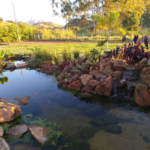 Montagem de Lagos Ornamentais por Chão Verde