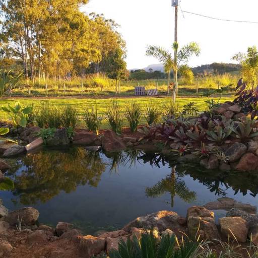 Montagem de Lagos Ornamentais por Chão Verde