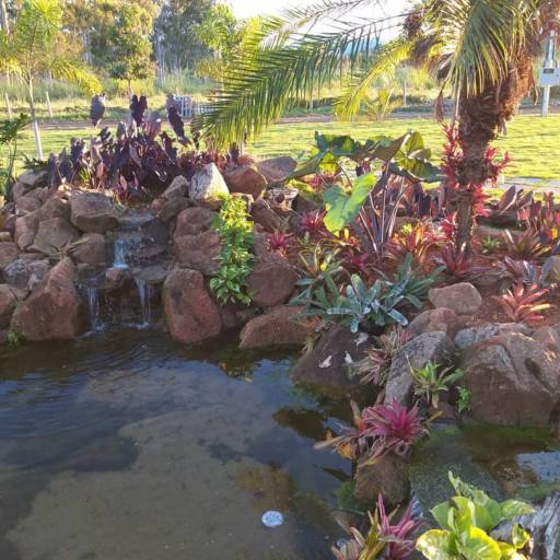 Montagem de Lagos Ornamentais por Chão Verde