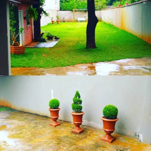 Venda de Vasos por Chão Verde