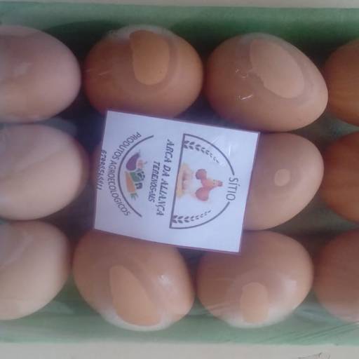 Ovos caipira 12,00 reais a dz por Rei Das Castanhas