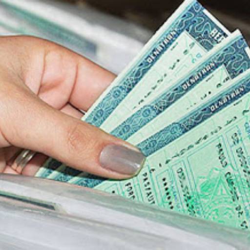 Software para Despachante de Trânsito