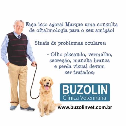 Comprar o produto de Oftalmo para cachorro em Clínicas Veterinárias pela empresa Clínica Veterinária Buzolin em Santa Cruz do Rio Pardo, SP por Solutudo