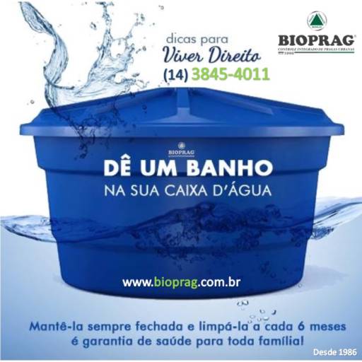 Limpeza de Caixa d' Água por Dedetizadora Bioprag