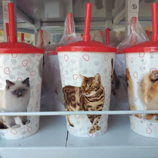 Copo estampa Pet em Bauru por Tia Angela Centro de Estética Animal