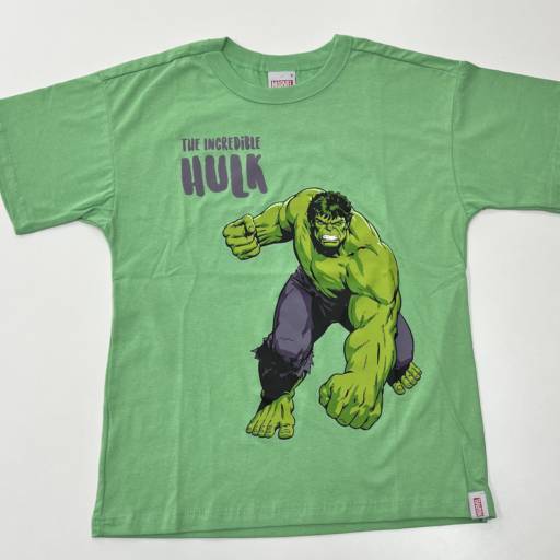 Camiseta Malwee infantil masculina  em Uberlândia, MG por Lojas Dom Flavittos