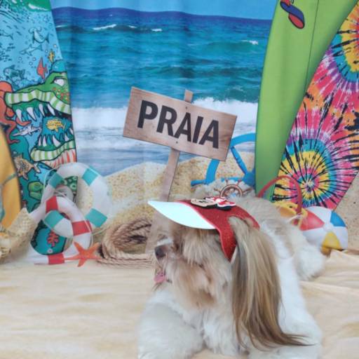 Banho temático - Praia em Bauru por Tia Angela Centro de Estética Animal
