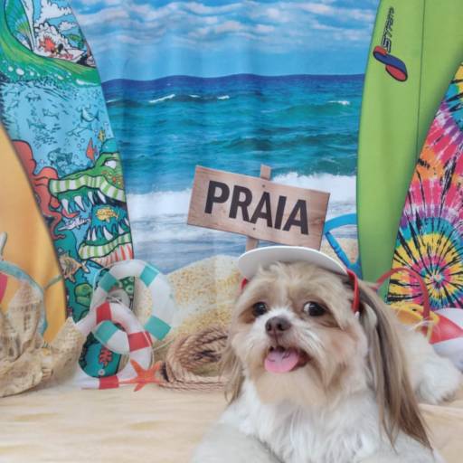 Banho temático - Praia em Bauru por Tia Angela Centro de Estética Animal