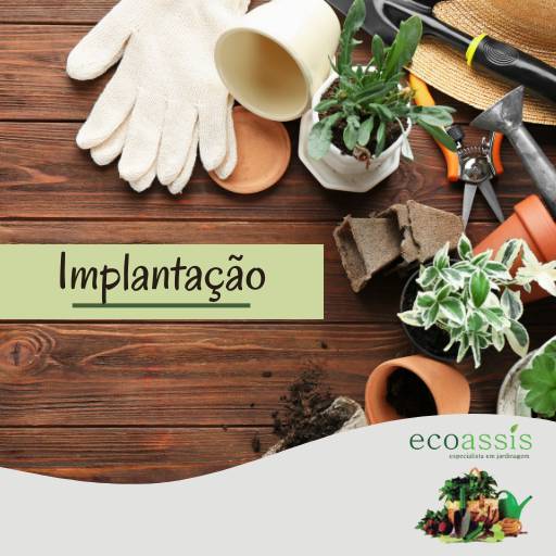 Comprar o produto de Implantação em Jardinagem pela empresa EcoAssis  em Assis, SP por Solutudo