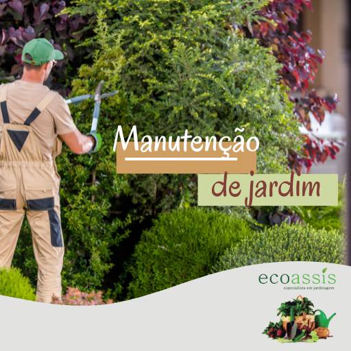 Comprar o produto de Manutenção de jardim  em Jardinagem pela empresa EcoAssis  em Assis, SP por Solutudo