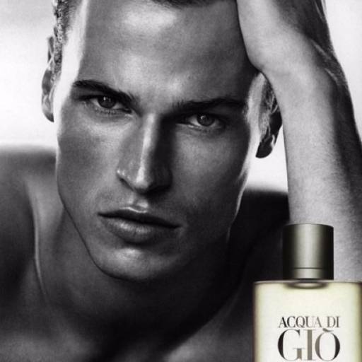 Acqua Di Giò Giorgio Armani Edt Perfume Masculino 100 Ml
