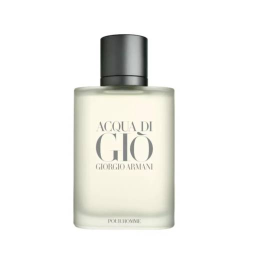 Acqua Di Giò Giorgio Armani Edt Perfume Masculino 100 Ml por SAMY BEAUTY Perfumaria - Perfumes Importados