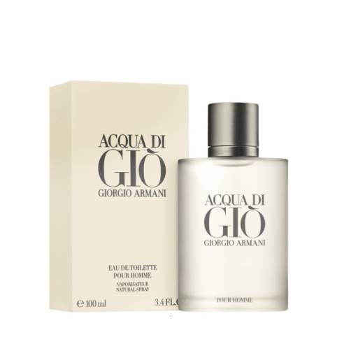 Acqua Di Giò Giorgio Armani Edt Perfume Masculino 100 Ml por SAMY BEAUTY Perfumaria - Perfumes Importados