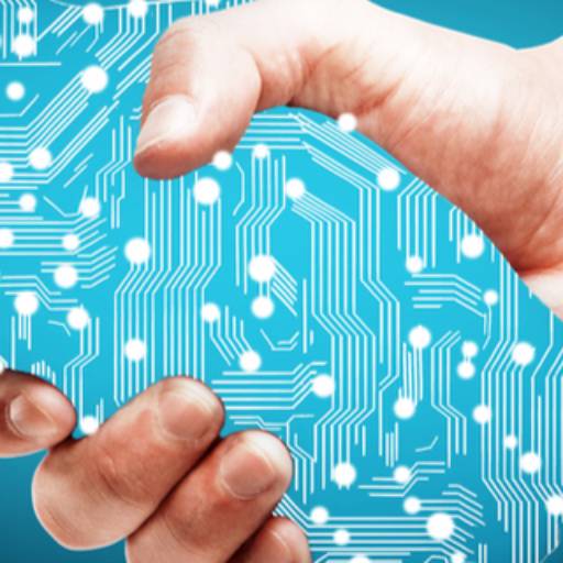 Direito Digital por Arêba Pinto Advogados