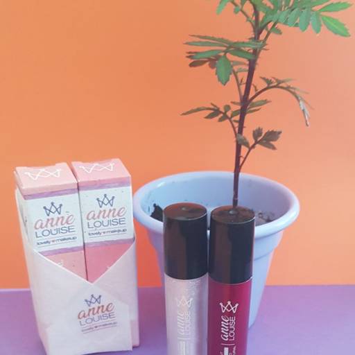 KIT VEGANO GLOSS + LIP TINT por Anne Louise 
