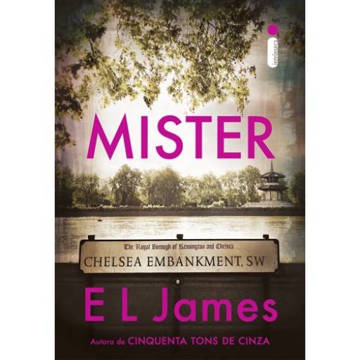 Mister por Leitura Fácil - Clube de assinatura de livros