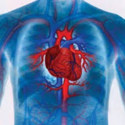 Fisioterapia Cardiorespiratória por Clinica Ala Fisio