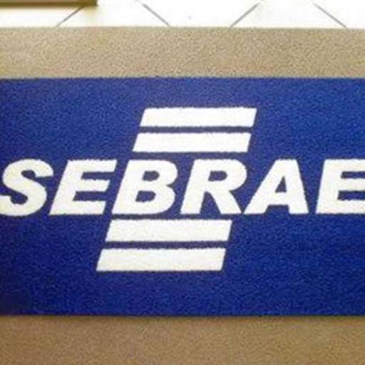 Tapetes Personalizados por Basso Decorações