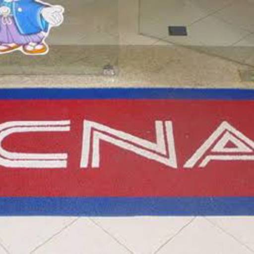 Tapetes Personalizados por Basso Decorações