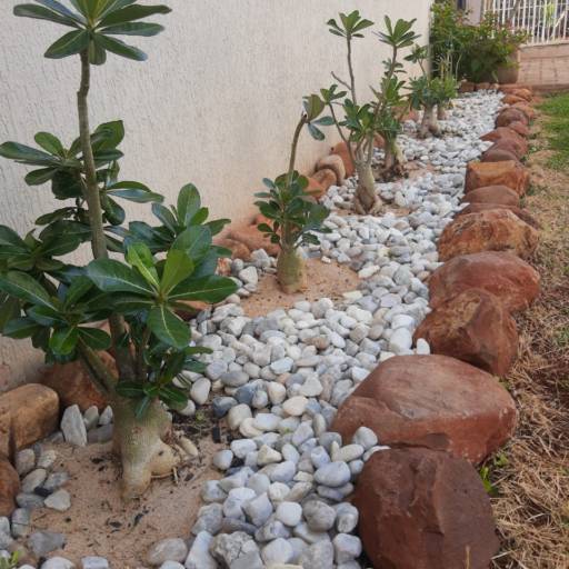 Decoração com Pedras por Sempre Verde Jardinagem