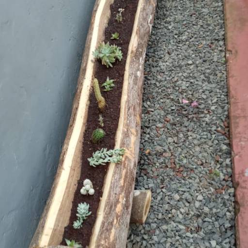 Vasos por Sempre Verde Jardinagem