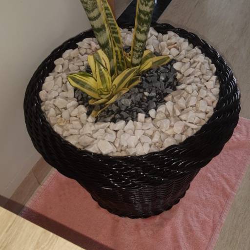 Vasos por Sempre Verde Jardinagem