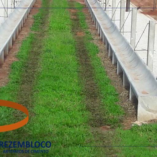 Cocho Modelo Tipo U - Confinamento e Semi