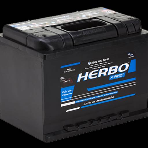 Baterias Herbo HF 60 OSAD por Baterias Potência Lubrificantes
