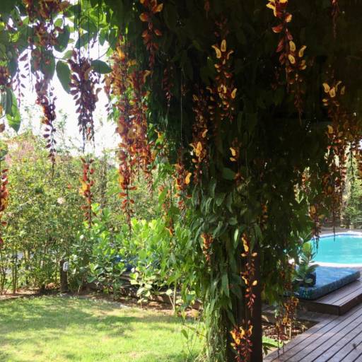 Salão de Convivência por Studios das Lagoas Boutique