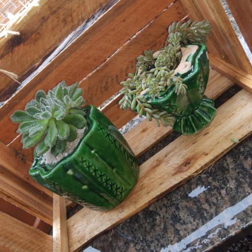 Vaso de plantas por Sempre Verde Jardinagem