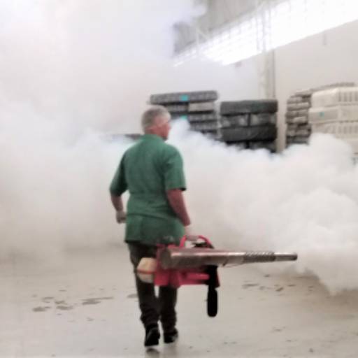 Desinsetização - Fumacê