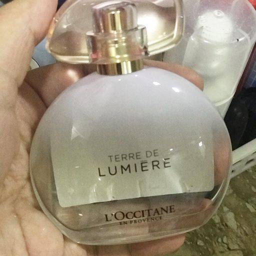 Comprar o produto de Terre de Lumiere Loccitane em Perfumes e Fragrâncias pela empresa Mônika Pasquarelli Cosméticos em Bauru, SP por Solutudo