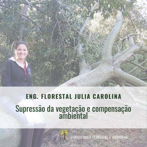 Autorização para supressão da vegetação