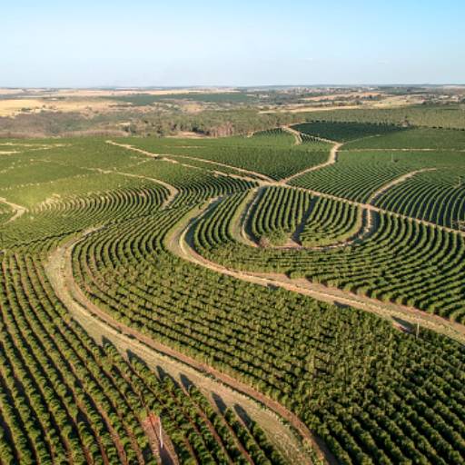 Elaboração de curvas de nível e modelo digital do terreno e superfície