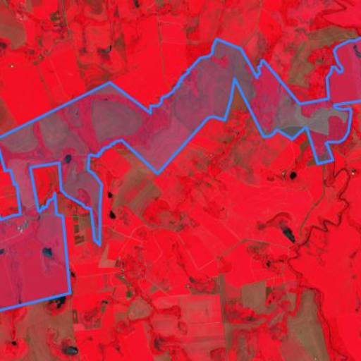 Imageamento por satélite NDVI, NIR, NDRE por Agro Sky Consultoria Tecnológica