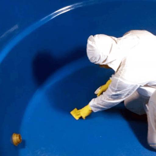 Limpeza de Caixa D'água por Dedetizadora Protege Agro