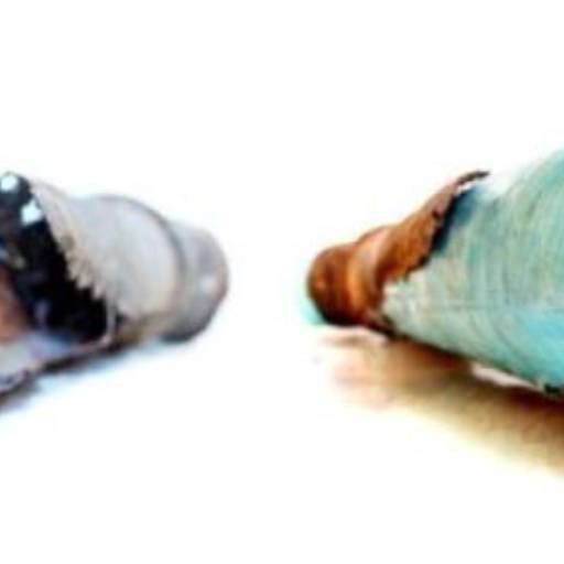 CIPP – Recuperação de rede por método não destrutivo