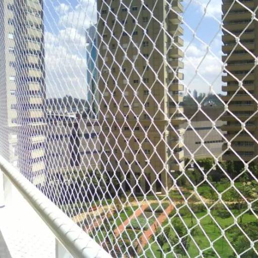 Telamento de Pombos por Vasconcelos Dedetizadora 