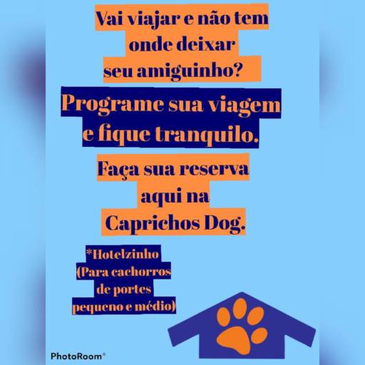 Vai viajar e não sabe onde deixar seu dog? Conte com a Caprichos Dog!