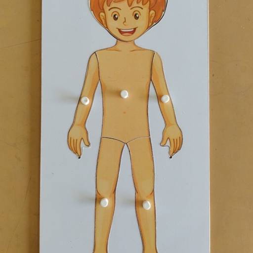 ENCAIXE DO CORPO HUMANO