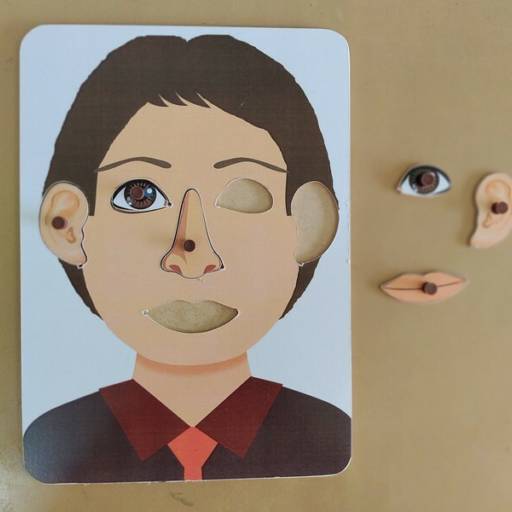 ENCAIXE DOS SENTIDOS - MENINO
