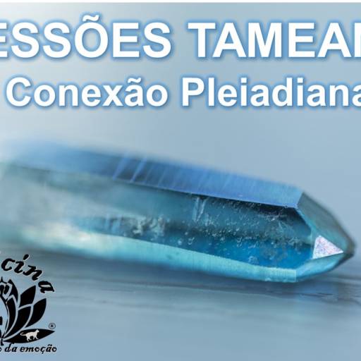 Sessão Tameana – Vibracional Pleiadiana por Reiki Maria Silvia Martos Pompeu