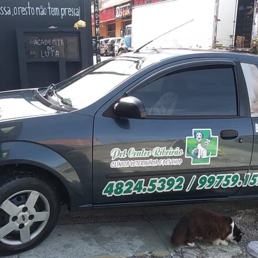 Taxi Dog por Clinica Veterinária Pet Center Ribeirão