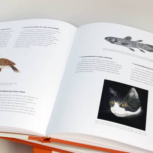 Ilustração Zoológica por Atelier Rosa Alves