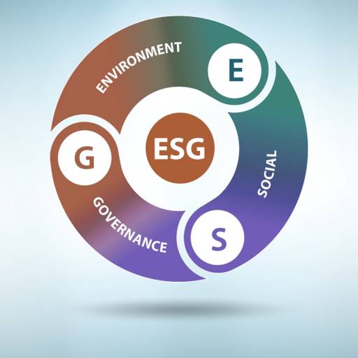 Reconhecimento ESG ( Environmental, Social and Governance ); por Sinergia Orgânicos