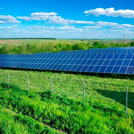 Energia Solar para Produtor Rural  por Ecopower Botucatu 